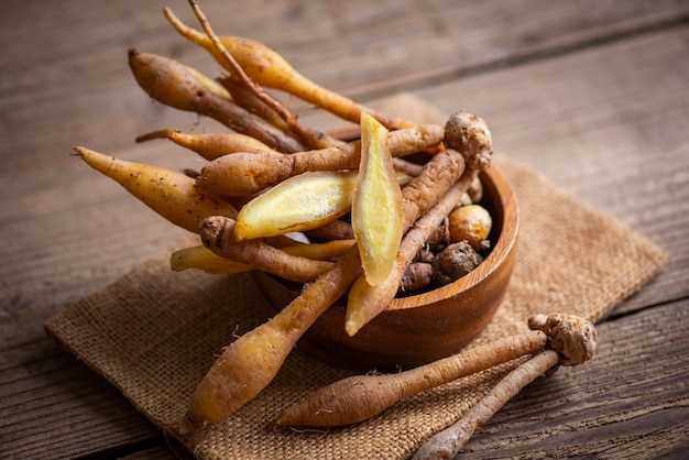 Experience Increased Energy and Stamina with Bupropion Ginseng