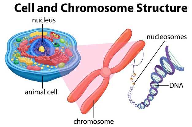 Cutting-edge science meets unparalleled effectiveness