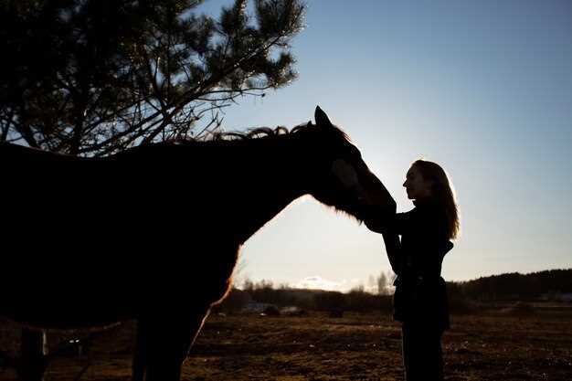 Equine bupropion